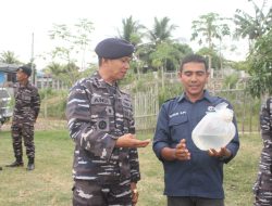 Lanal Lhokseumawe Tebar Ratusan Ribu Benih Udang Vaname