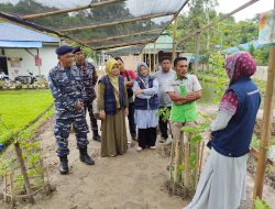 Lanal Simeulue Kembali Menjadi Percontohan di Bidang Ketahanan Pangan di Kabupaten Simeulue