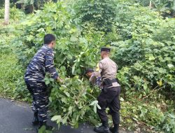 Peduli Lingkungan, Babinpotmar Lanal Tarempa Ikuti Kegiatan “Berlian”