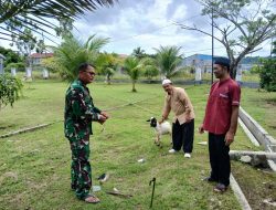 Sambut Hari Raya Idul Adha 1445 H/2024 M, Danlanal Nias Serahkan 2 Ekor Hewan Kurban
