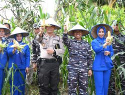 Lanal Tanjung Balai Asahan Turut Sukseskan Panen Raya Serentak Jajaran TNI AL
