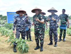 Pangkalan TNI AL Dabo Singkep Panen Ketahanan Pangan Bersama Panglima Koarmada I
