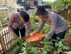 Satuan Brimob Polda Metro Jaya Dukung Ketahanan Pangan Melalui Program Budidaya Tanaman dan Perikanan