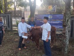 Pangkalan TNI AL Bandung Laksanakan Penyembelihan dan Penyaluran Daging Hewan Kurban Kepada Personel Lanal Bandung