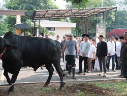 Hewan Kurban, Jembatan Silaturahmi: Polres Metro Jakarta Pusat Bagikan Kebahagiaan Idul Adha