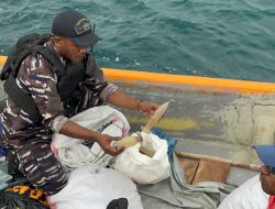 TNI AL Gagalkan Dua Penyelundupan Lintas Batas RI-PNG, Tegakkan Hukum Demi Kedaulatan Negara