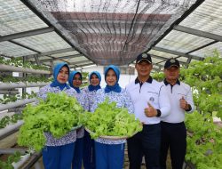 Turut Dukung Indonesia Sebagai Negara Swasembada Pangan, Lanal Dumai Tebar 50.000 Ekor Bibit Ikan Patin