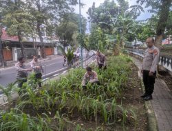 Kasat Binmas Tinjau Lahan Jagung Produktif, Wujud Nyata Dukung Ketahanan Pangan di Jakarta Pusat