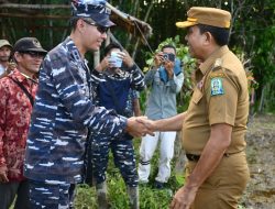 Sambut HUT Ke-80 TNI, Lanal Simeulue Bersama Kodim 0115/Simeulue Laksanakan Penanaman Padi di Pulau Terluar Provinsi Aceh