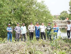 Sinergi Wujudkan Pantai Hijau dan Sungai Bersih, Danlanal Dumai Bersama PT. Pertamina Patra Niaga Laksanakan Penanaman 3000 Bibit Pohon Bakau