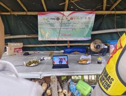 Semangat Swasembada di Tengah Kota, Polsek Sawah Besar dan Warga Tanam Jagung Bersama