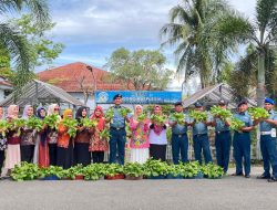 Panen Raya Hidroponik Lanal Bengkulu, Inovasi Untuk Ketahanan Pangan Lokal