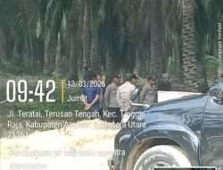 Lahan Eks HGU PT BSP di Asahan Dipanen Sawit, Warga Pertanyakan Kehadiran Polisi