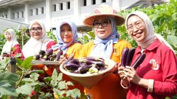 Urban Farming Cipinang Melayu Panen 30 Melon, Kolaborasi CSR Perkuat Pertanian Kota