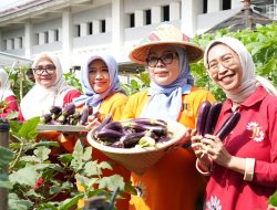 Urban Farming Cipinang Melayu Panen 30 Melon, Kolaborasi CSR Perkuat Pertanian Kota