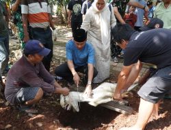 Kodim 0502/JU Salurkan dan Potong Hewan Kurban untuk Warga Jakarta Utara
