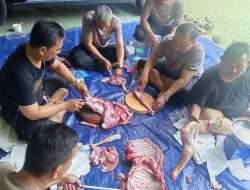 Polsek Sawah Besar Gelar Pemotongan Hewan Kurban Idul Adha 1447 H, Daging Dibagikan untuk Personel dan Warga Sekitar